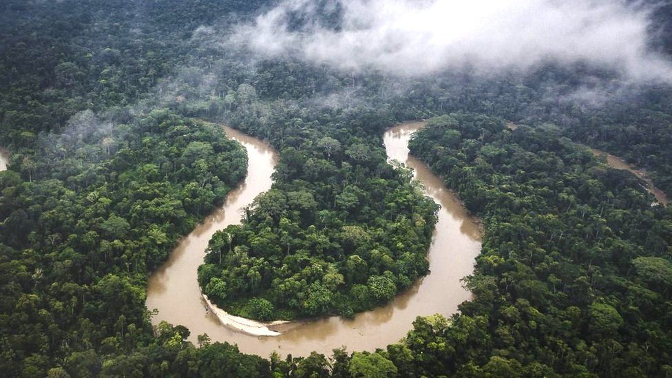 Read more about the article The World Should Brace Itself as the Amazon Nears a Tipping Point
