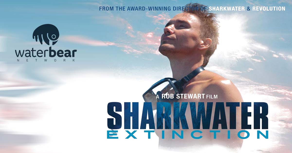 Read more about the article Rob Stewart’s Sharkwater Trilogy Joins WaterBear’s Streaming Roster