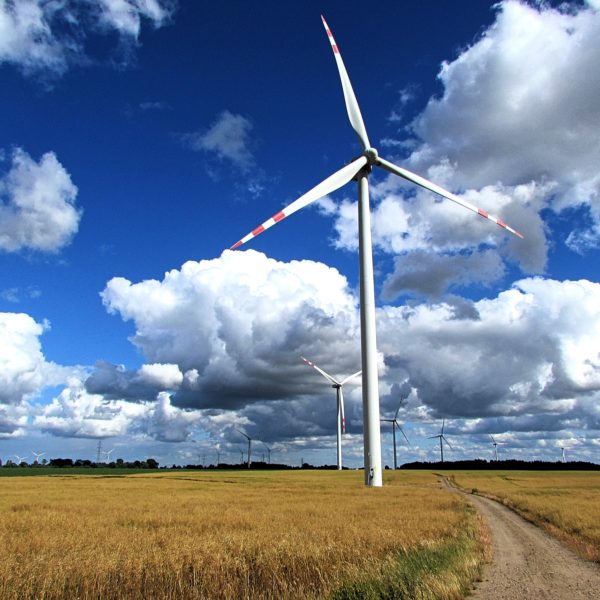 Poland Achieves 30% Wind Power Thanks to a Storm