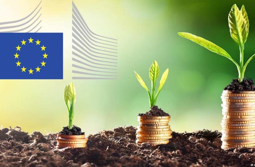 The EU Taxonomy in Review: Politics and Sustainable Finance