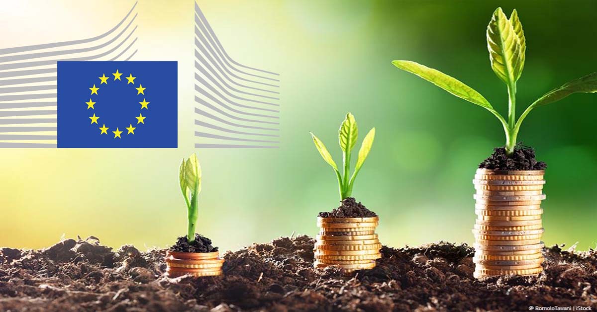 Read more about the article The EU Taxonomy in Review: Politics and Sustainable Finance