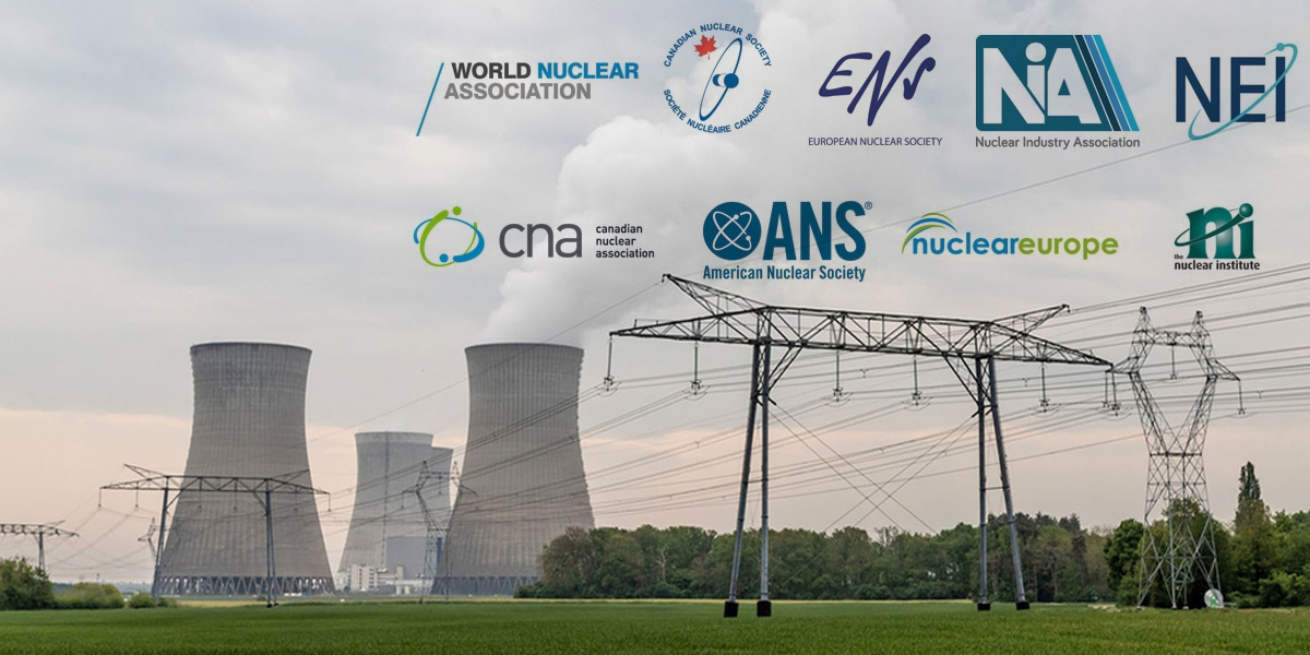 Read more about the article Experts: Nuclear Power Key to Global Energy Security