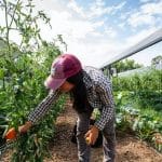 file-20211220-49229-2ukdcl-1