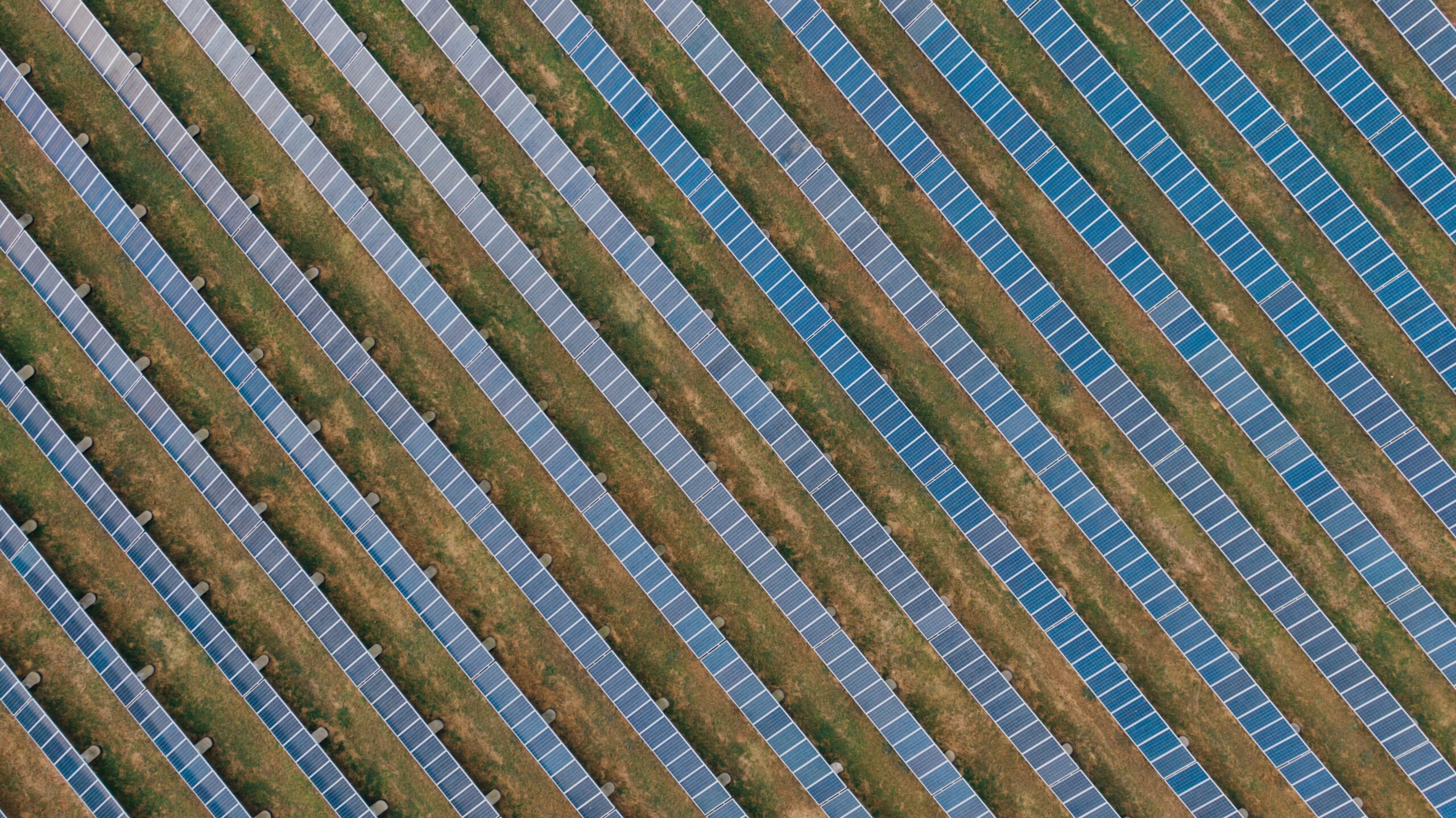 solar-power-texas-scaled