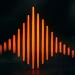 resized_image-40.webp-40