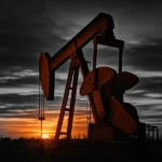 resized_image-20.webp-20