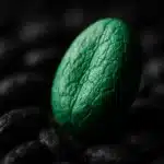 resized_image-64.webp-64