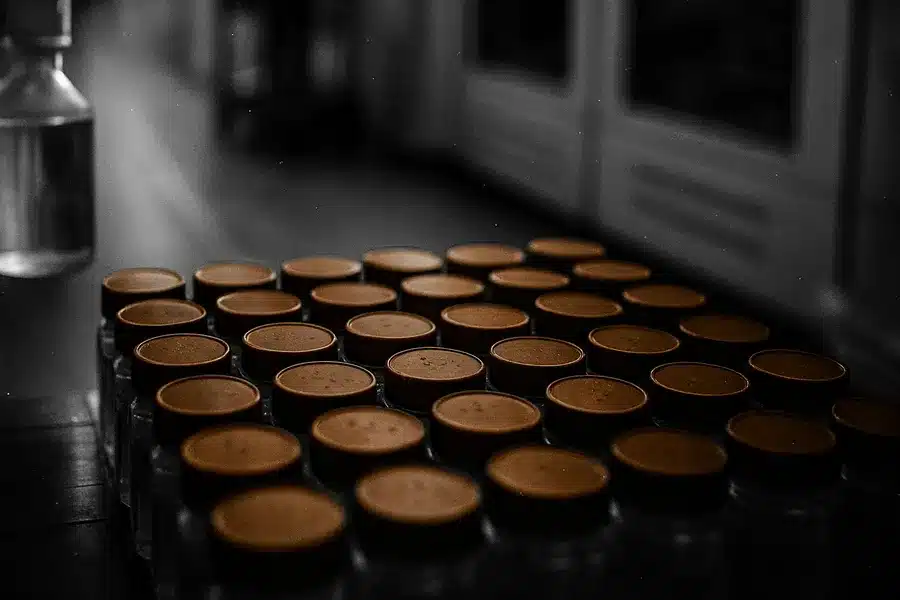 pfizer-s-eczema-drug-hits-mid-stage-trial-goal-advances-to-p-1773074221144