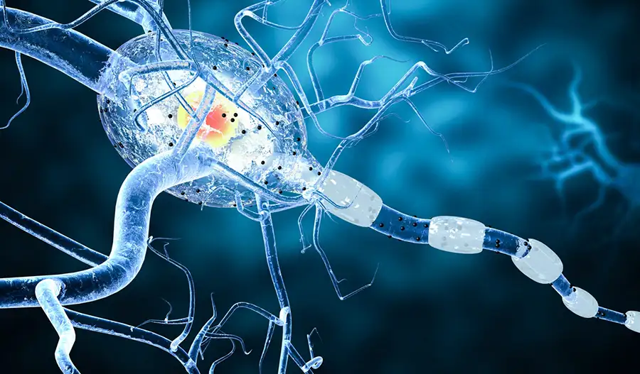 Quantum BioPharma 3