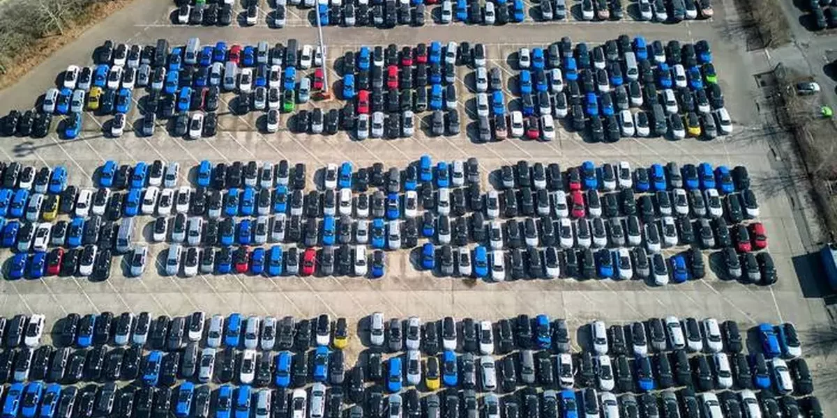 Auto Giants Show Unexpected Resilience Amid U.S. Tariffs