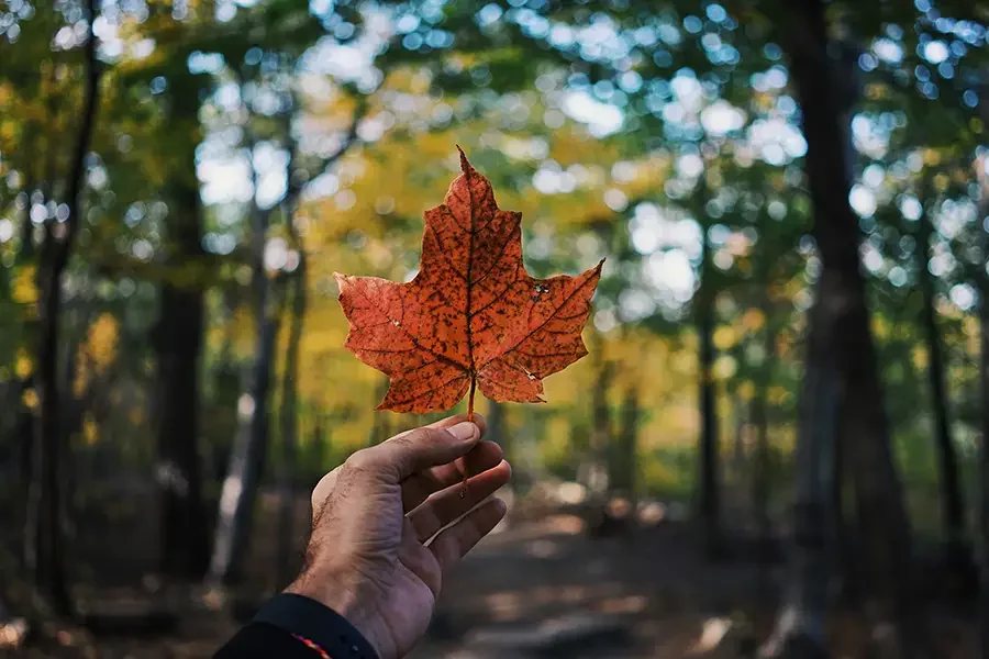 Canada Passes Landmark Environmental Justice Legislation