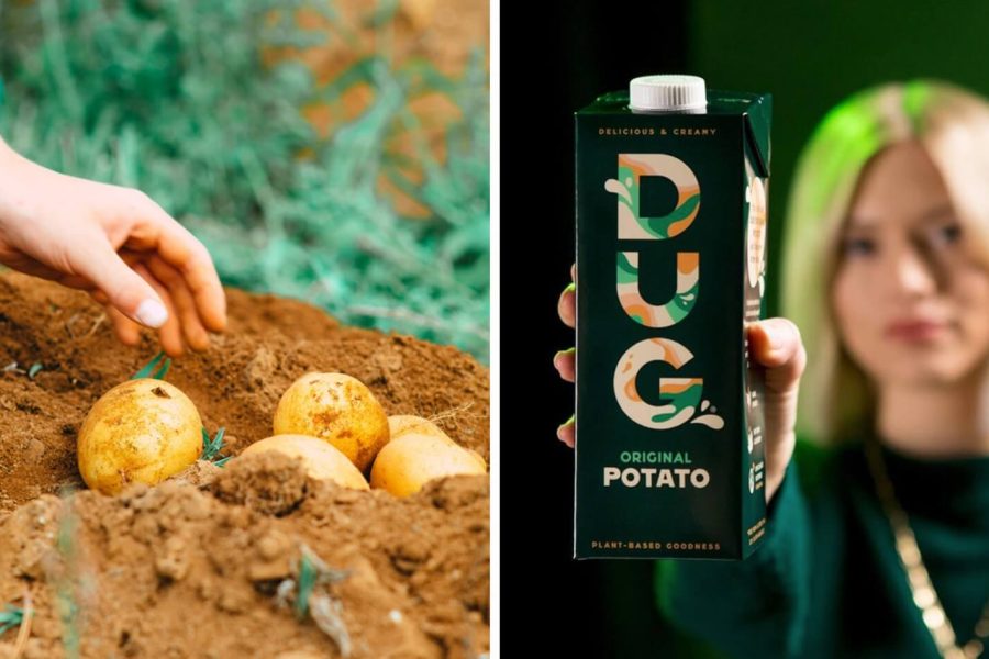 VegNews.VeganPotatoMilkDug