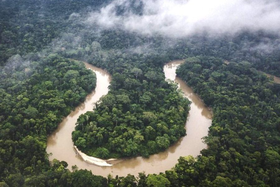 amazon-forest